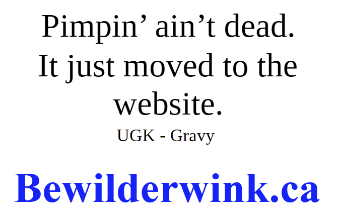 Pimpin' ain't dead.  It just moved to the webite.